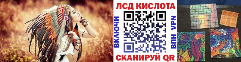 где можно купить   Снежногорск  MEGA маркетплейс  darknet наркотические препараты  Наркотические марки 1,8мг 