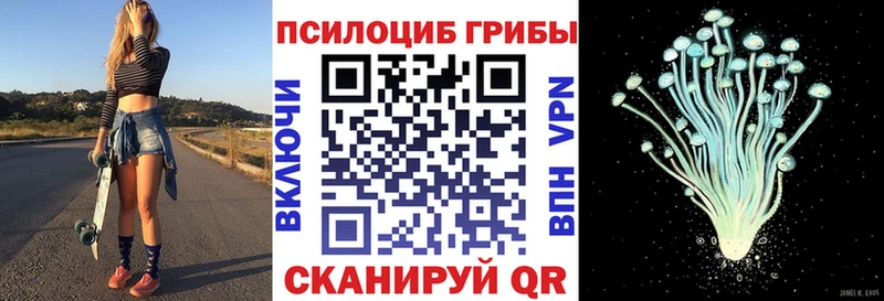 Галлюциногенные грибы Psilocybe  Снежногорск 